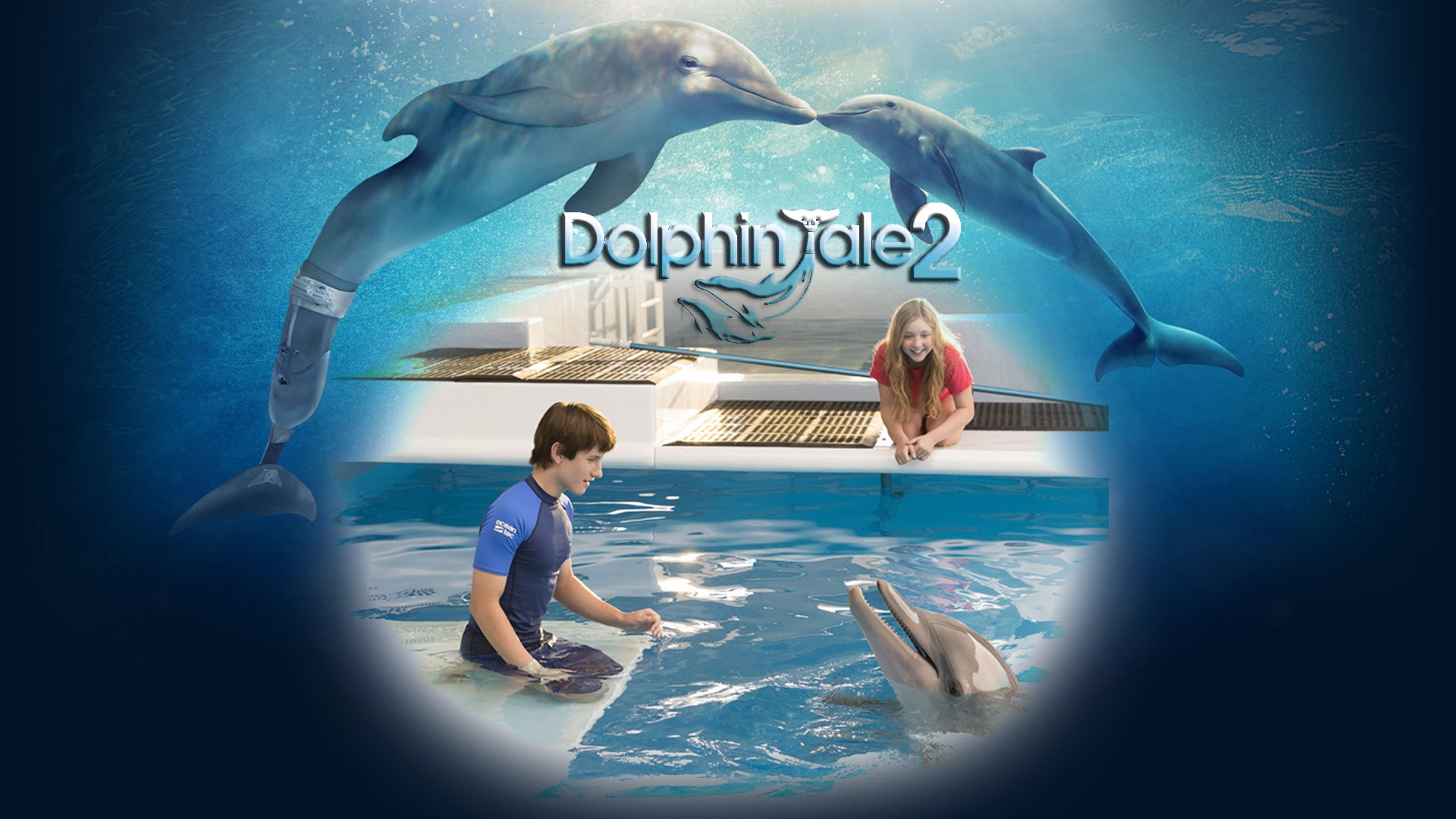 Dolphin Tale 2 High Quality Background on Wallpapers Vista