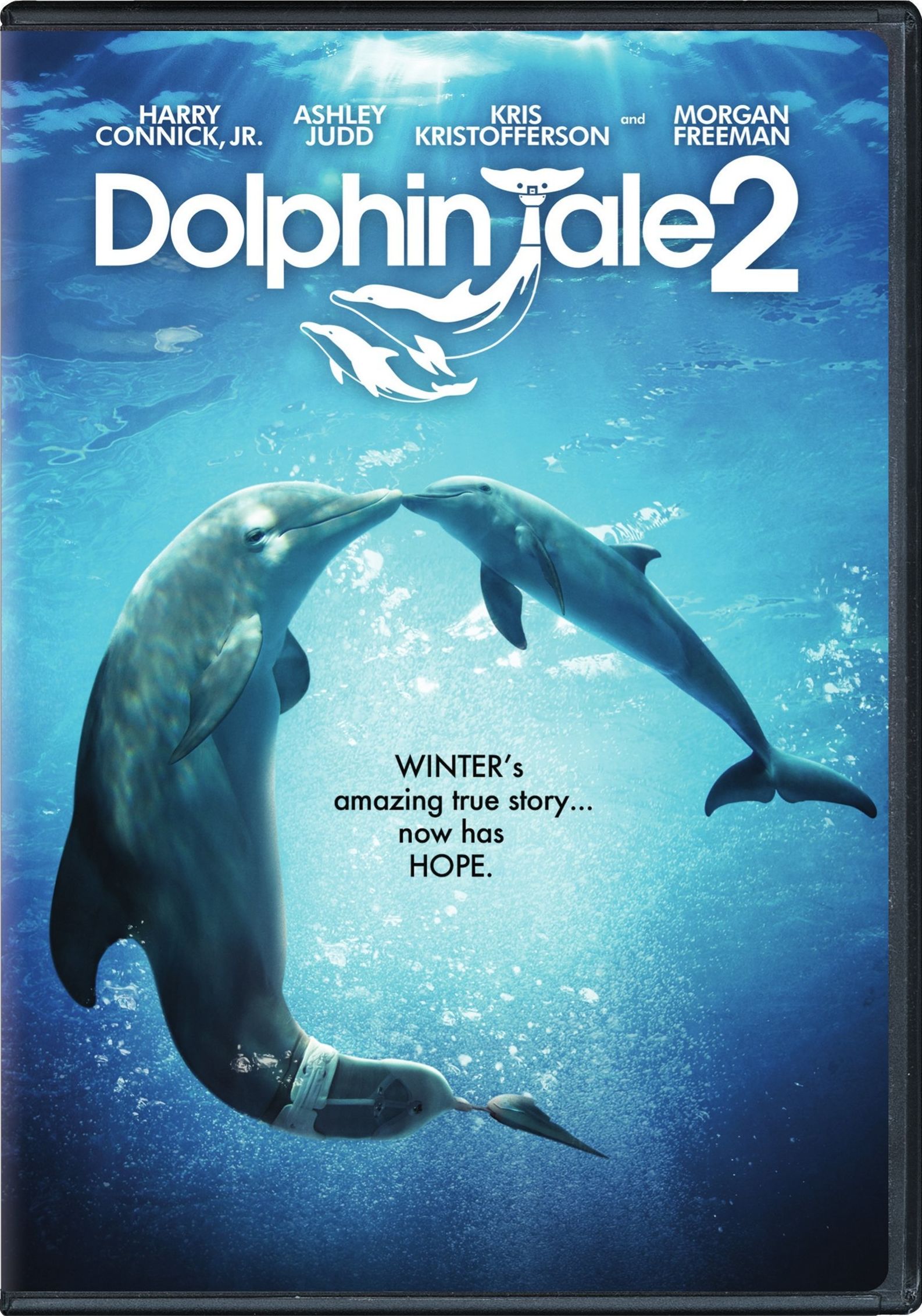 Dolphin Tale 2 Pics, Movie Collection
