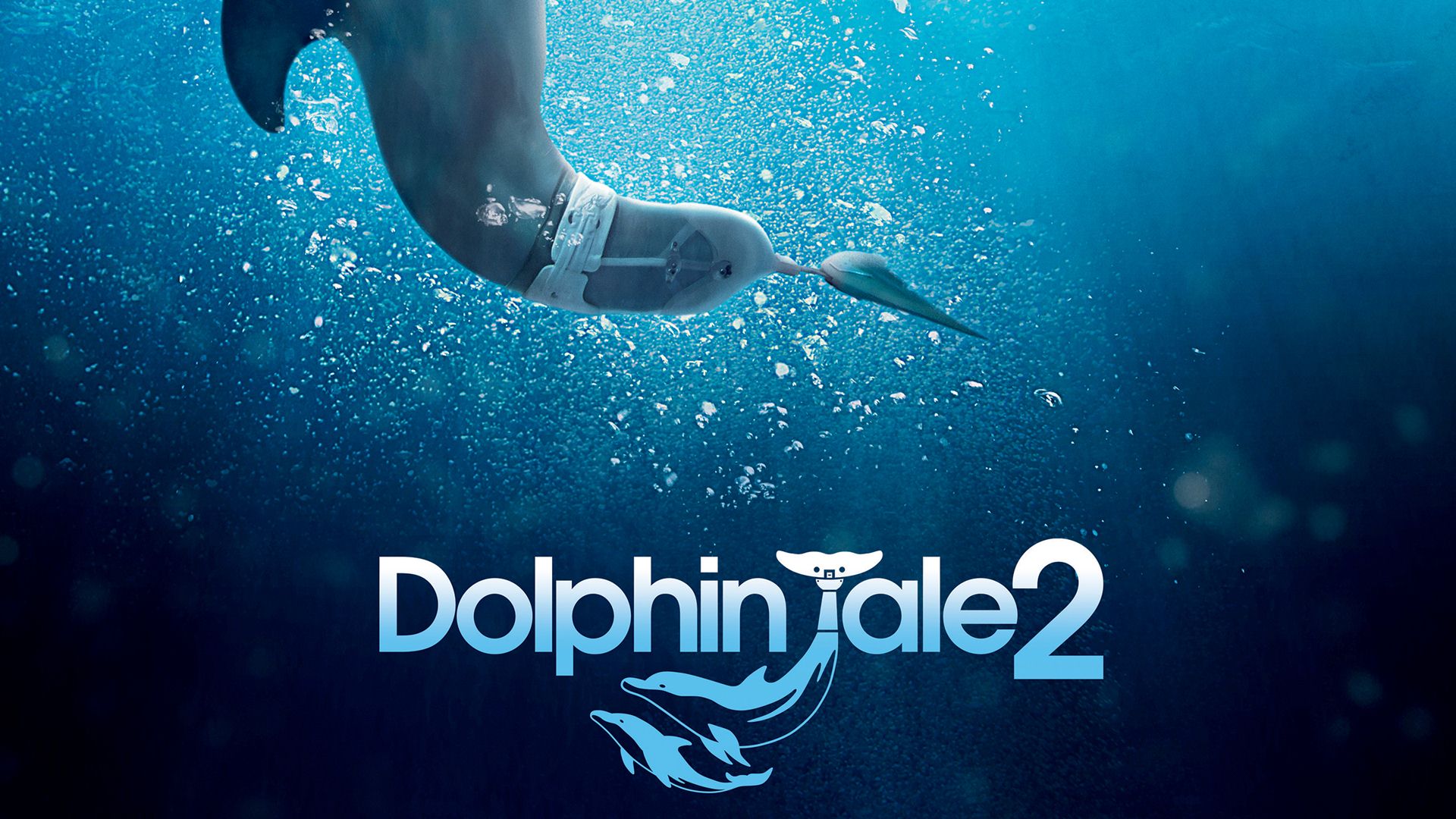 HD Quality Wallpaper | Collection: Movie, 1920x1080 Dolphin Tale 2