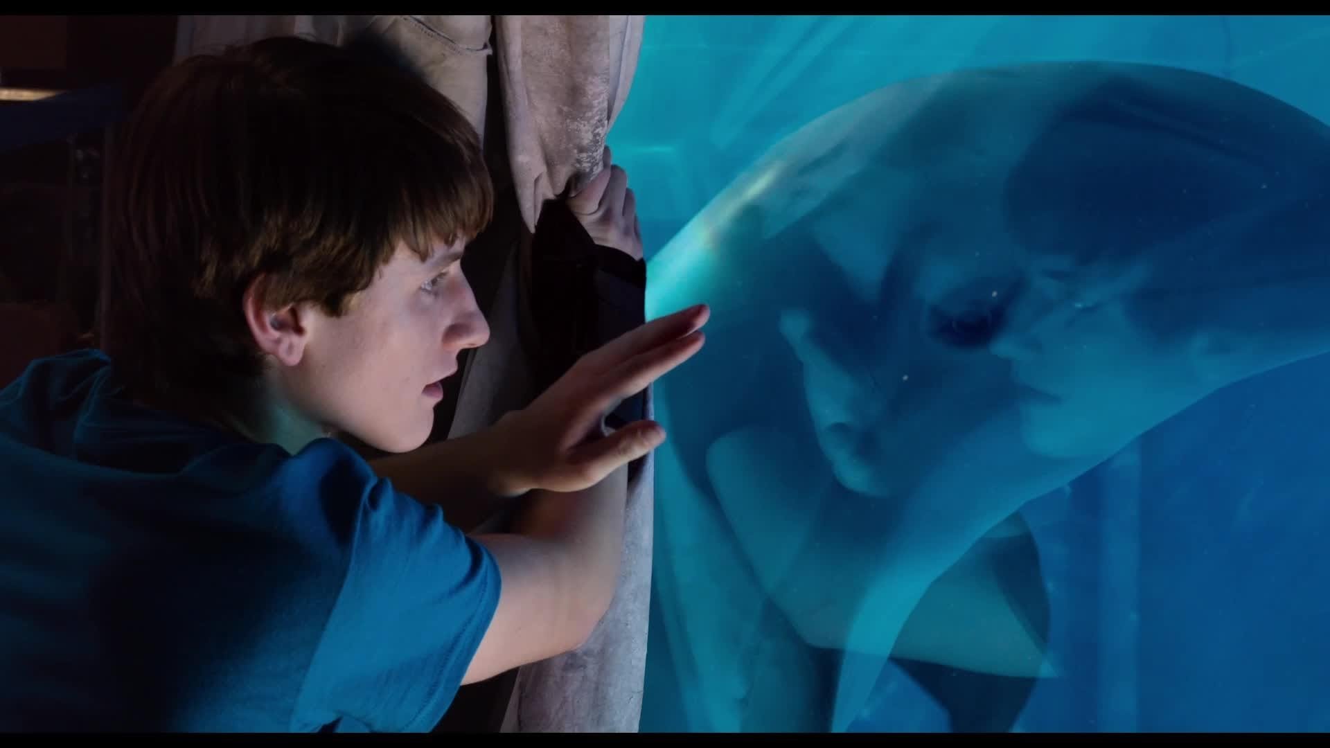 Images of Dolphin Tale 2 | 1920x1080