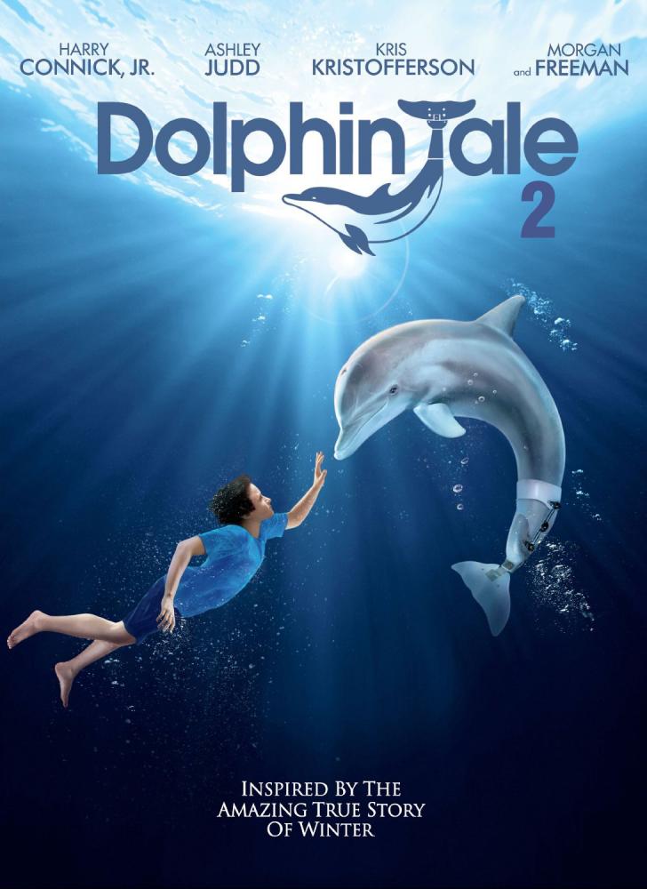 Dolphin Tale 2 Backgrounds, Compatible - PC, Mobile, Gadgets| 728x1000 px