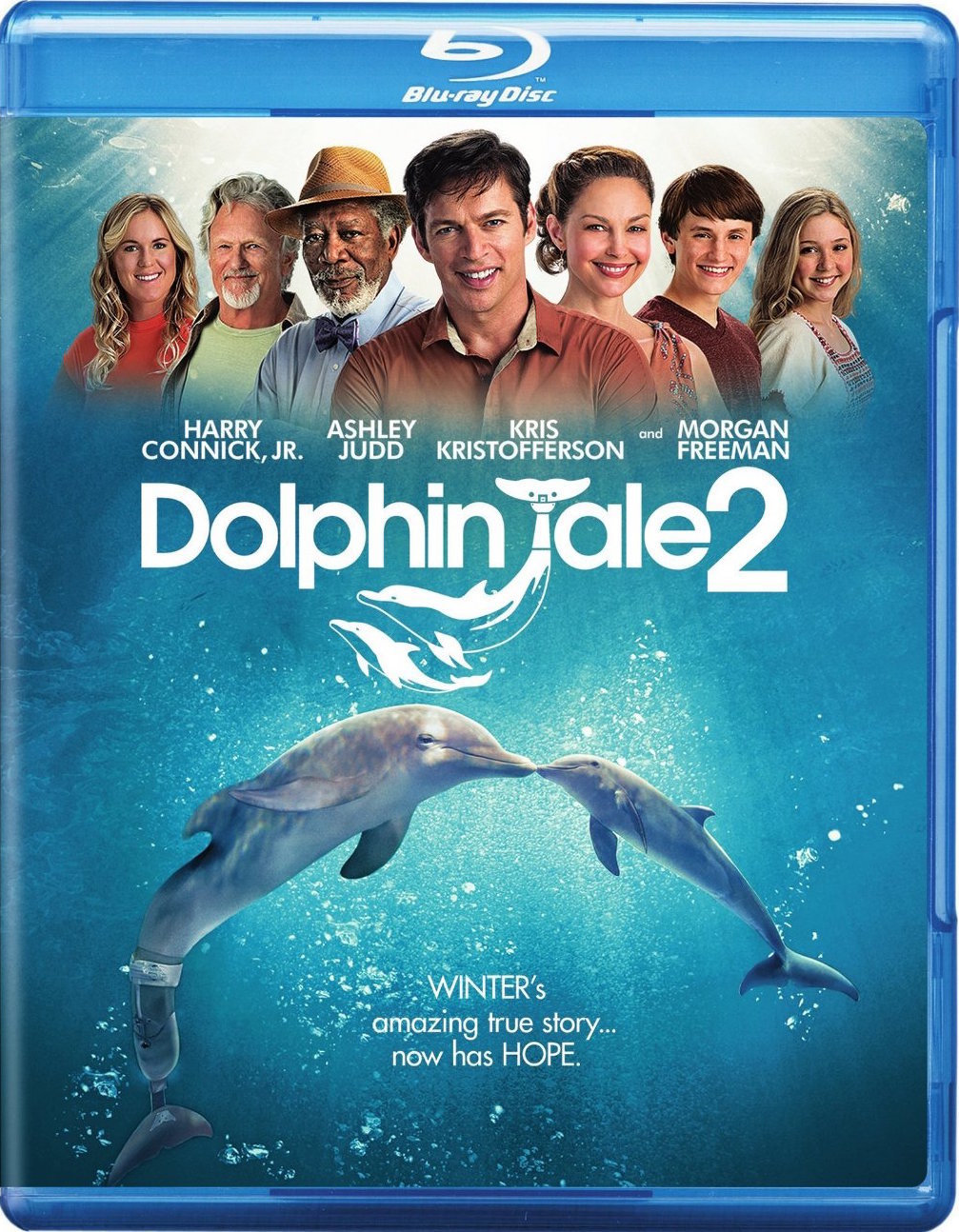 HQ Dolphin Tale 2 Wallpapers | File 324.63Kb