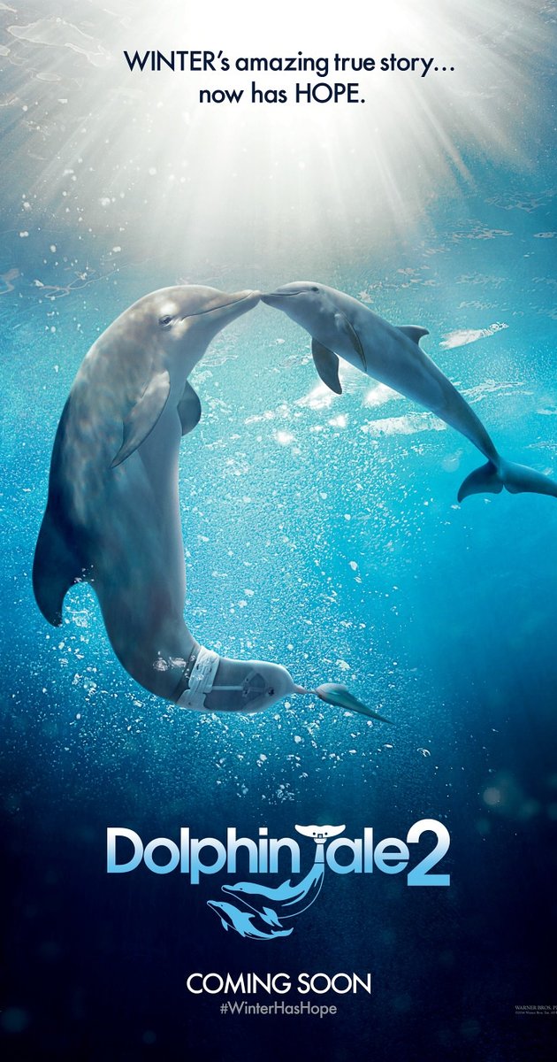 Dolphin Tale 2 Backgrounds, Compatible - PC, Mobile, Gadgets| 630x1200 px