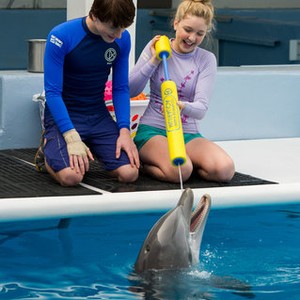 Dolphin Tale 2 Pics, Movie Collection