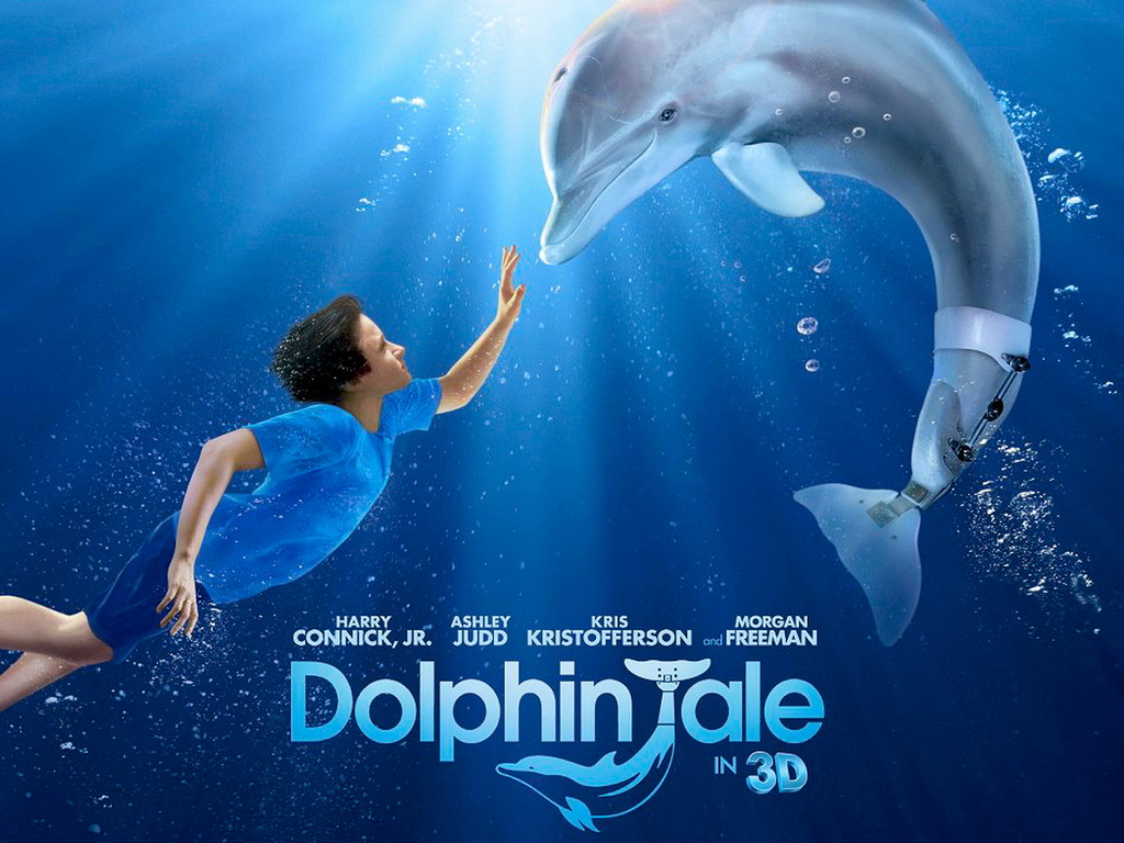 Dolphin Tale #27