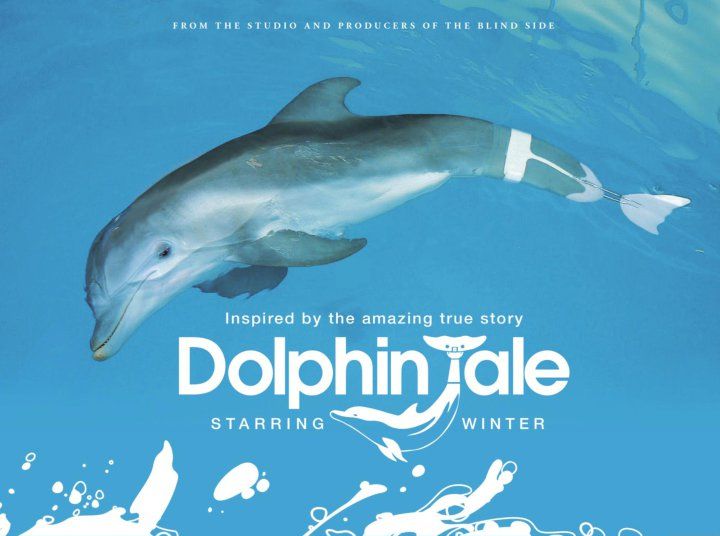Dolphin Tale Pics, Movie Collection