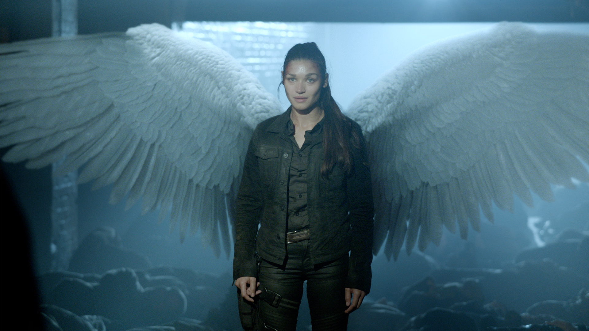 Amazing Dominion Pictures & Backgrounds