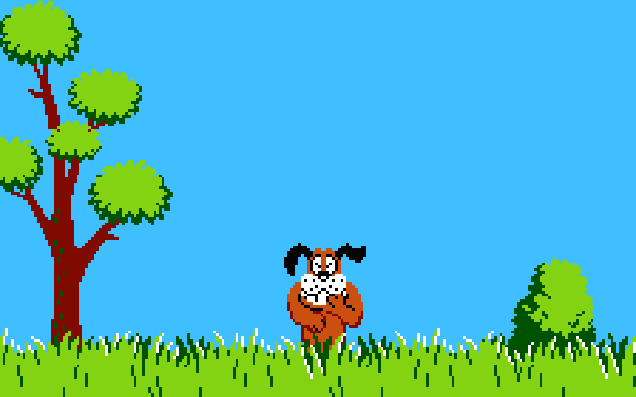 Nice wallpapers Donald Duck Hunting 1280x800px