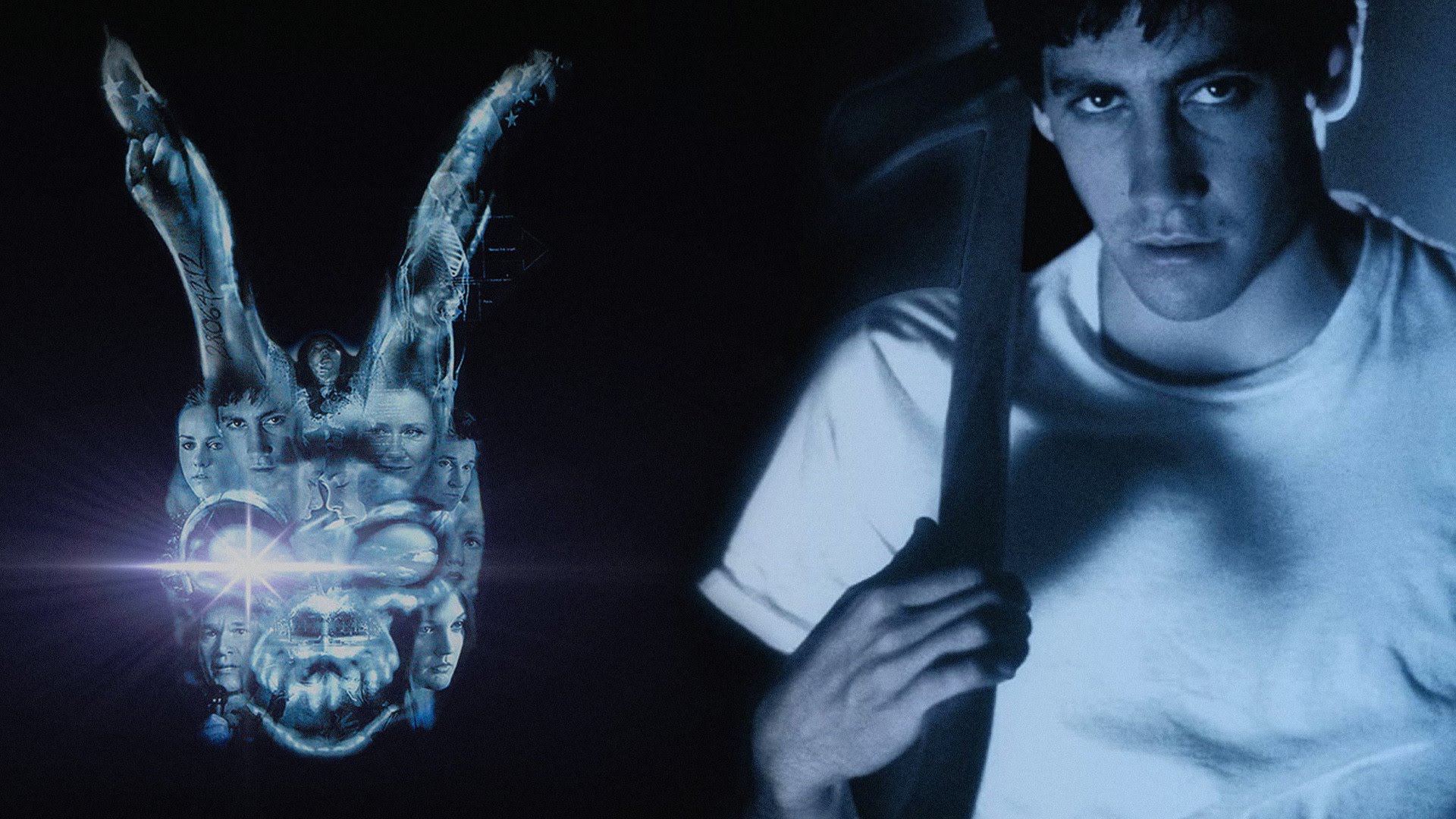 Amazing Donnie Darko Pictures & Backgrounds