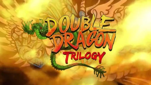 Double Dragon Trilogy #15