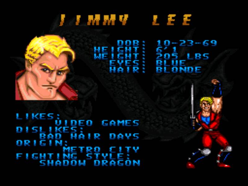 Nice wallpapers Double Dragon V: The Shadow Falls 800x600px