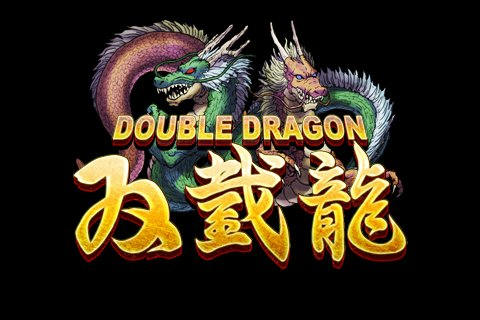 Nice wallpapers Double Dragon 480x320px