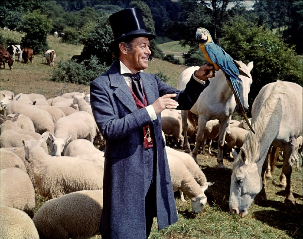 Dr. Dolittle High Quality Background on Wallpapers Vista