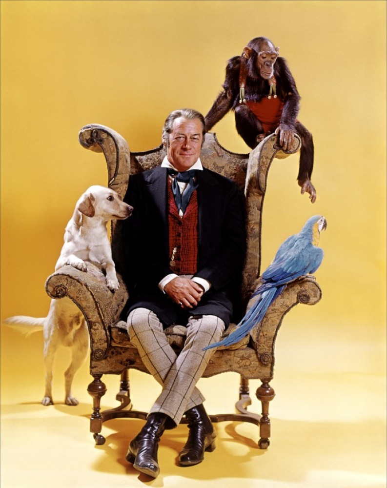 High Resolution Wallpaper | Dr. Dolittle 793x1000 px