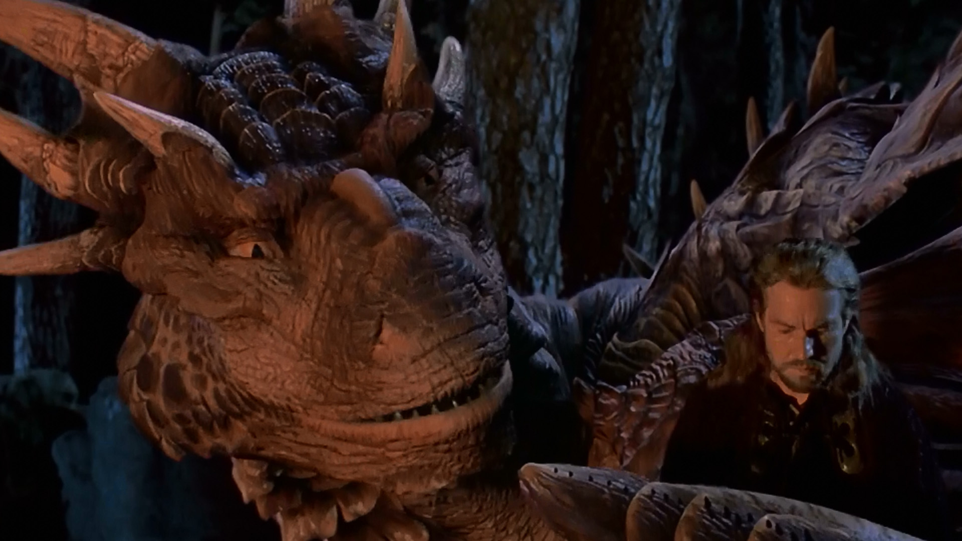 DragonHeart Pics, Movie Collection