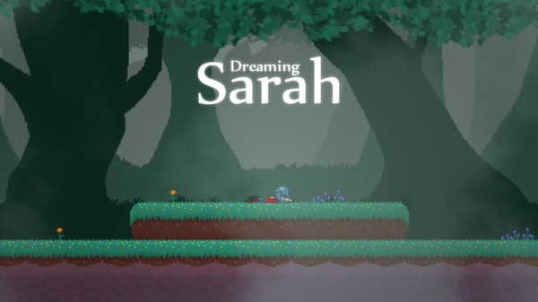 Dreaming Sarah Pics, Video Game Collection