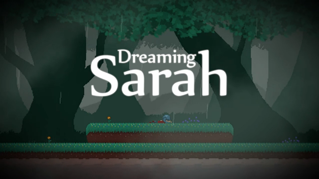 Dreaming Sarah Pics, Video Game Collection