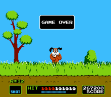 HD Quality Wallpaper | Collection: Video Game, 220x193 Duck Hunt