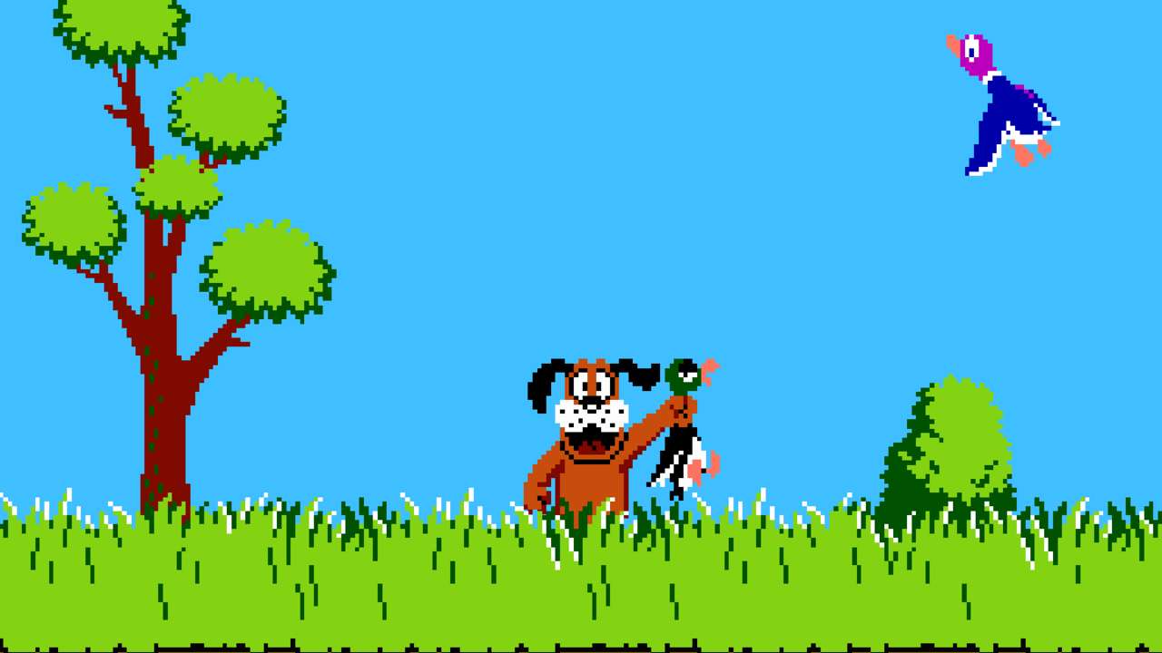 Amazing Duck Hunt Pictures & Backgrounds