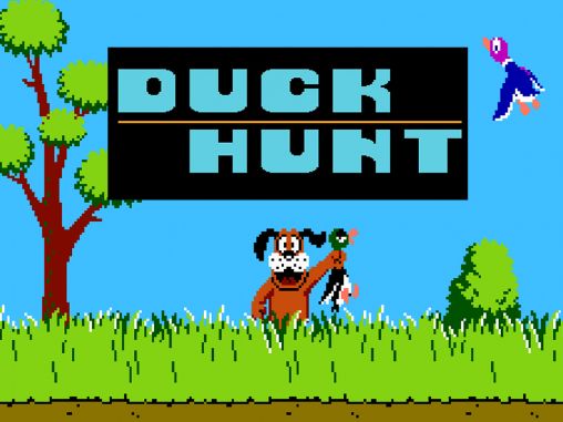 Duck Hunt #14