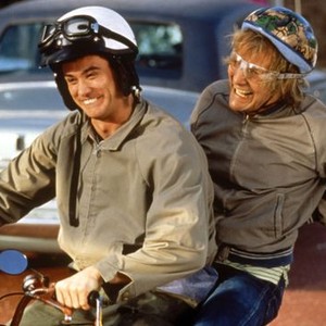 Dumb And Dumber Backgrounds, Compatible - PC, Mobile, Gadgets| 300x300 px