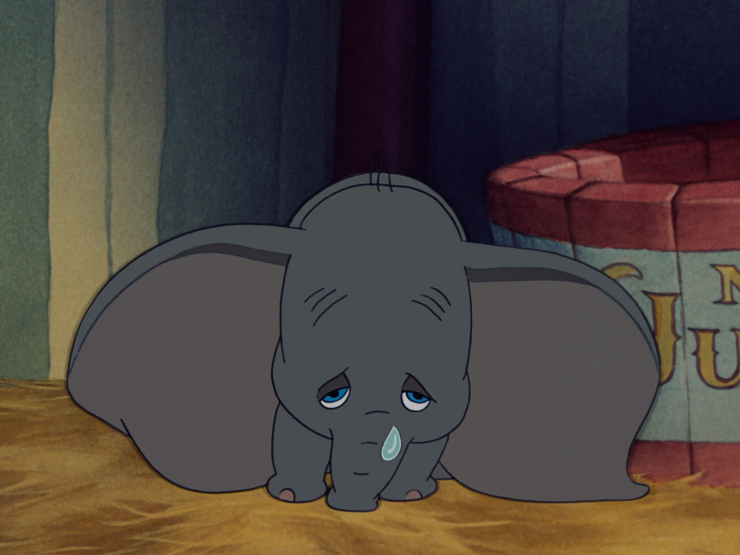 Dumbo #5