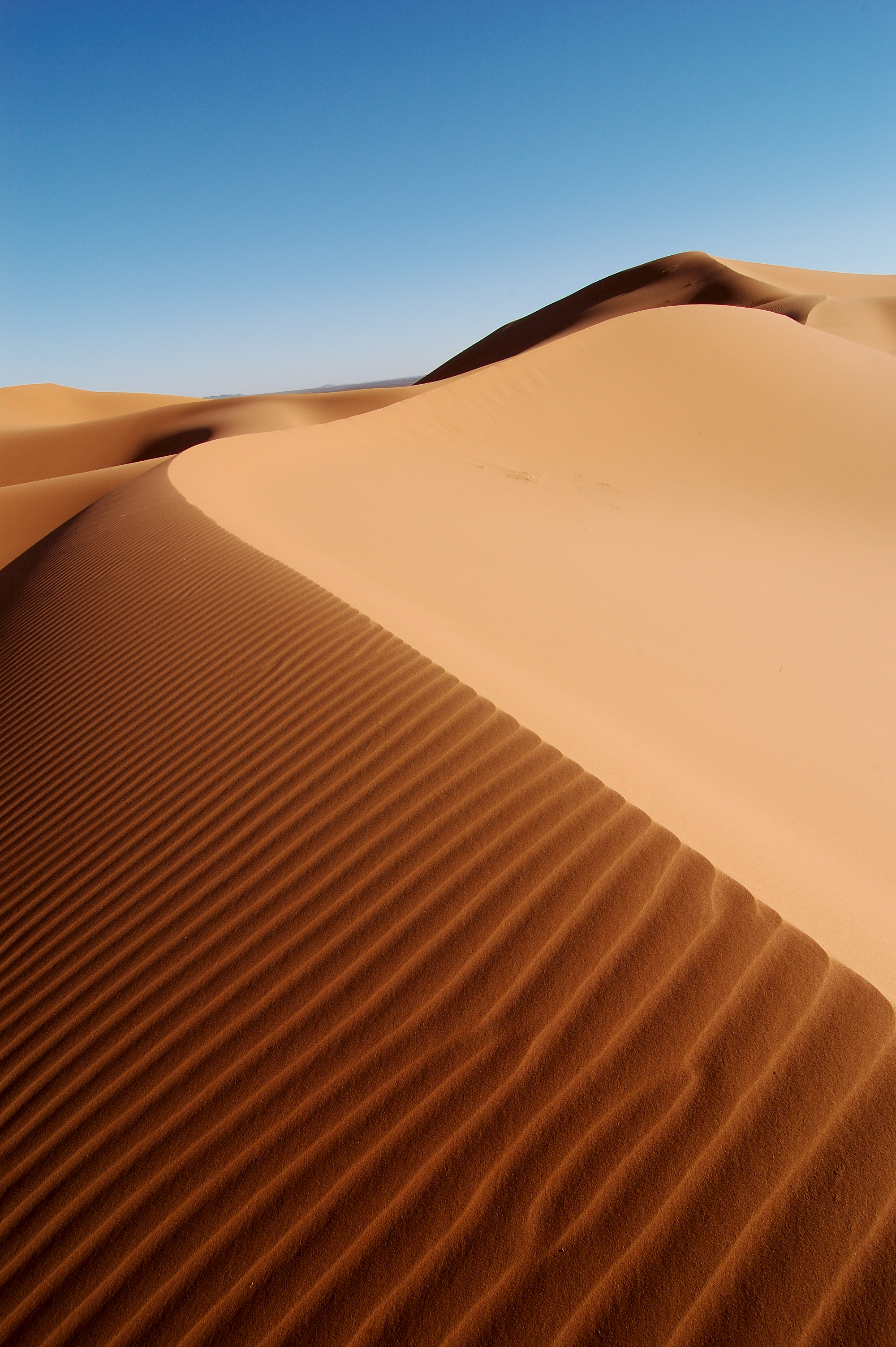 Dune Backgrounds, Compatible - PC, Mobile, Gadgets| 2000x3008 px
