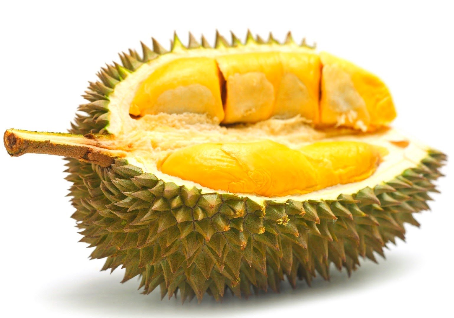 Amazing Durian Pictures & Backgrounds