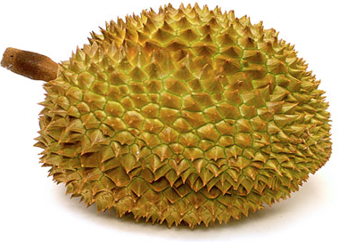 Durian #7