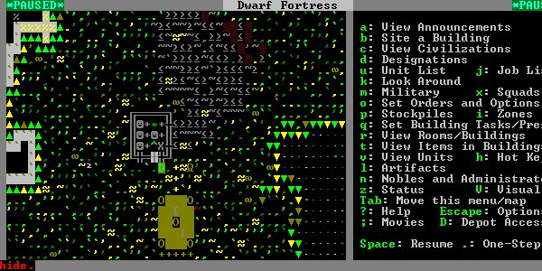 Dwarf Fortress #1