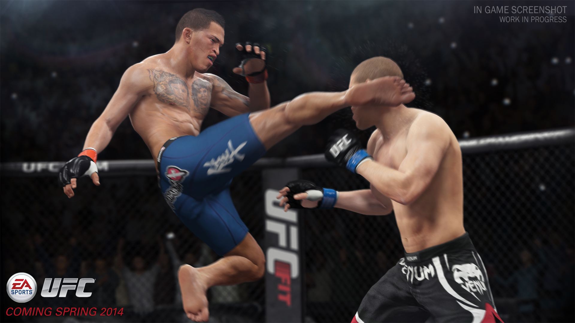 EA Sports UFC HD wallpapers, Desktop wallpaper - most viewed