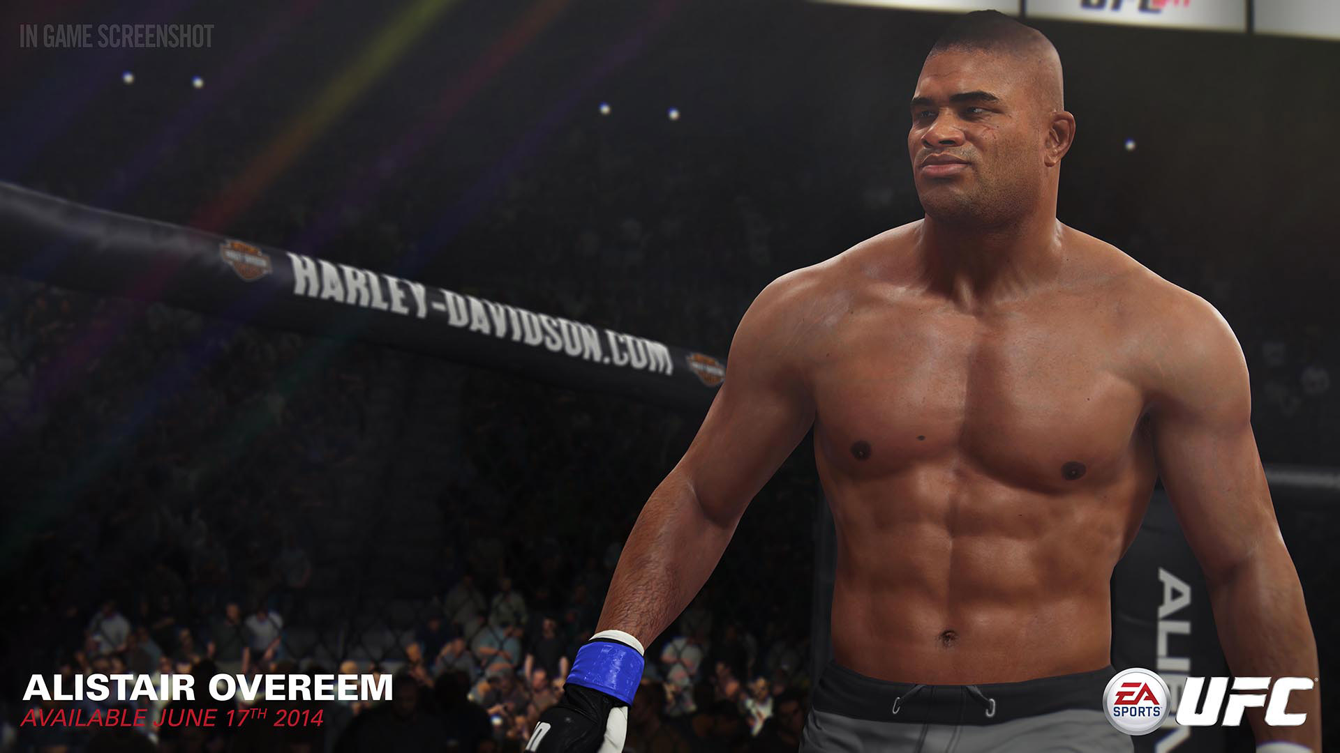 1920x1080 > EA Sports UFC Wallpapers