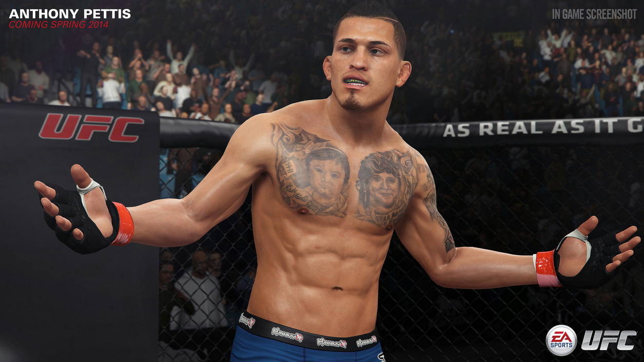 HD Quality Wallpaper | Collection: Video Game, 1253x706 EA Sports UFC