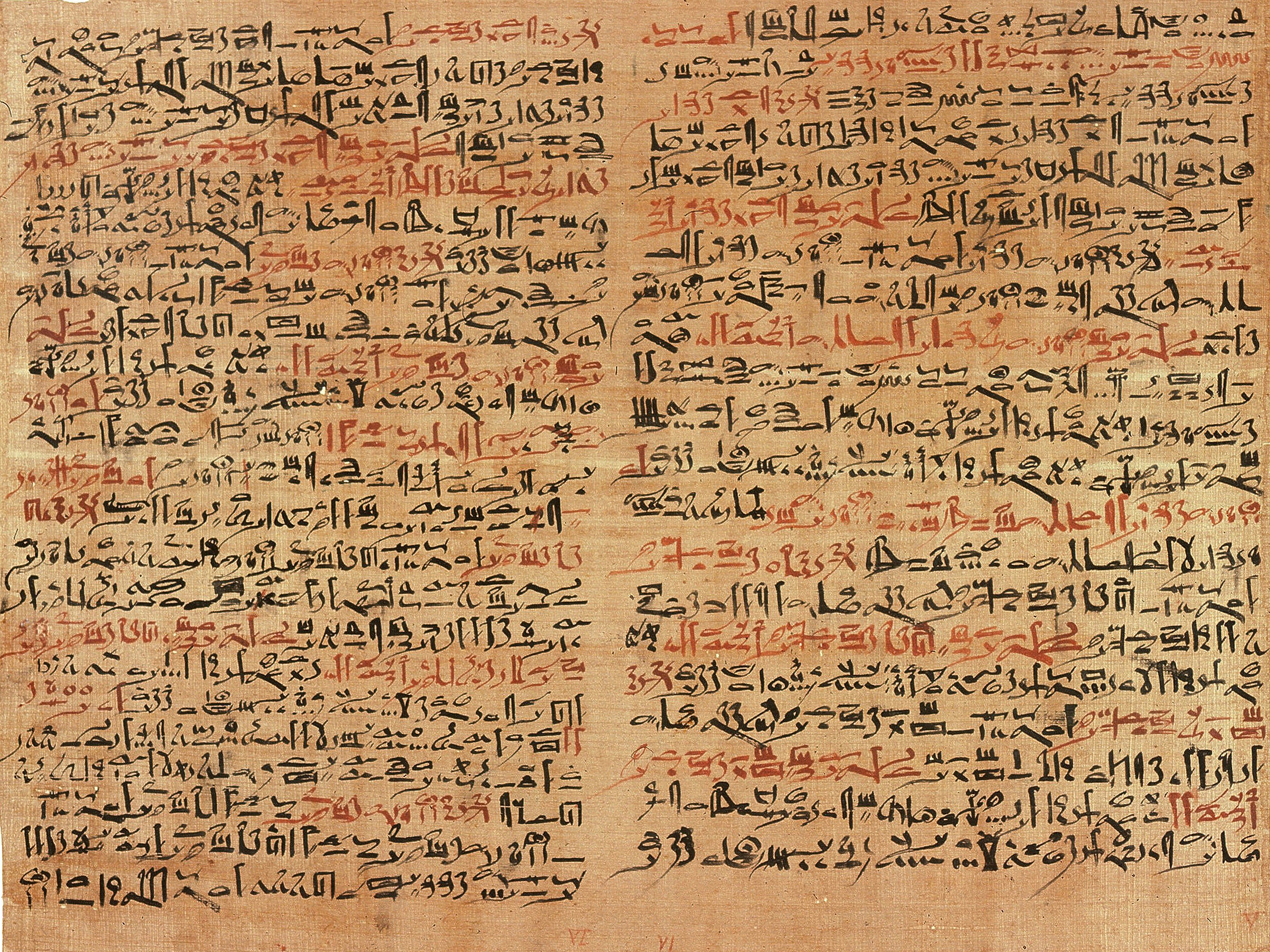 Edwin Smith Papyrus #7