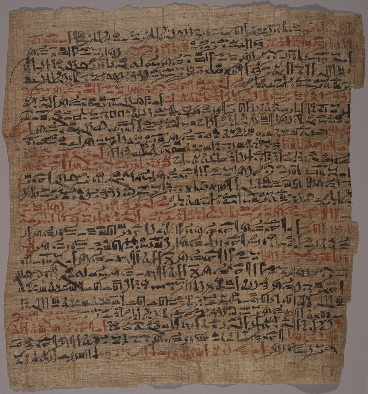 Edwin Smith Papyrus #8