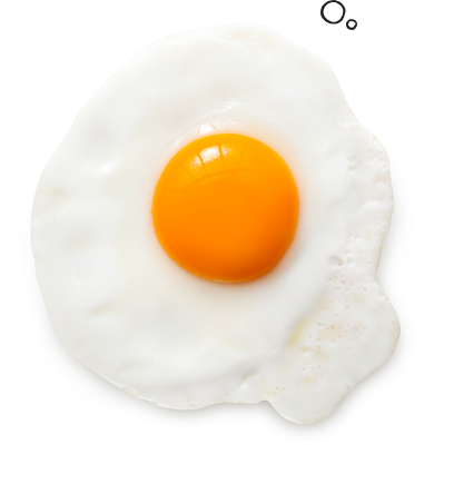 Egg #11
