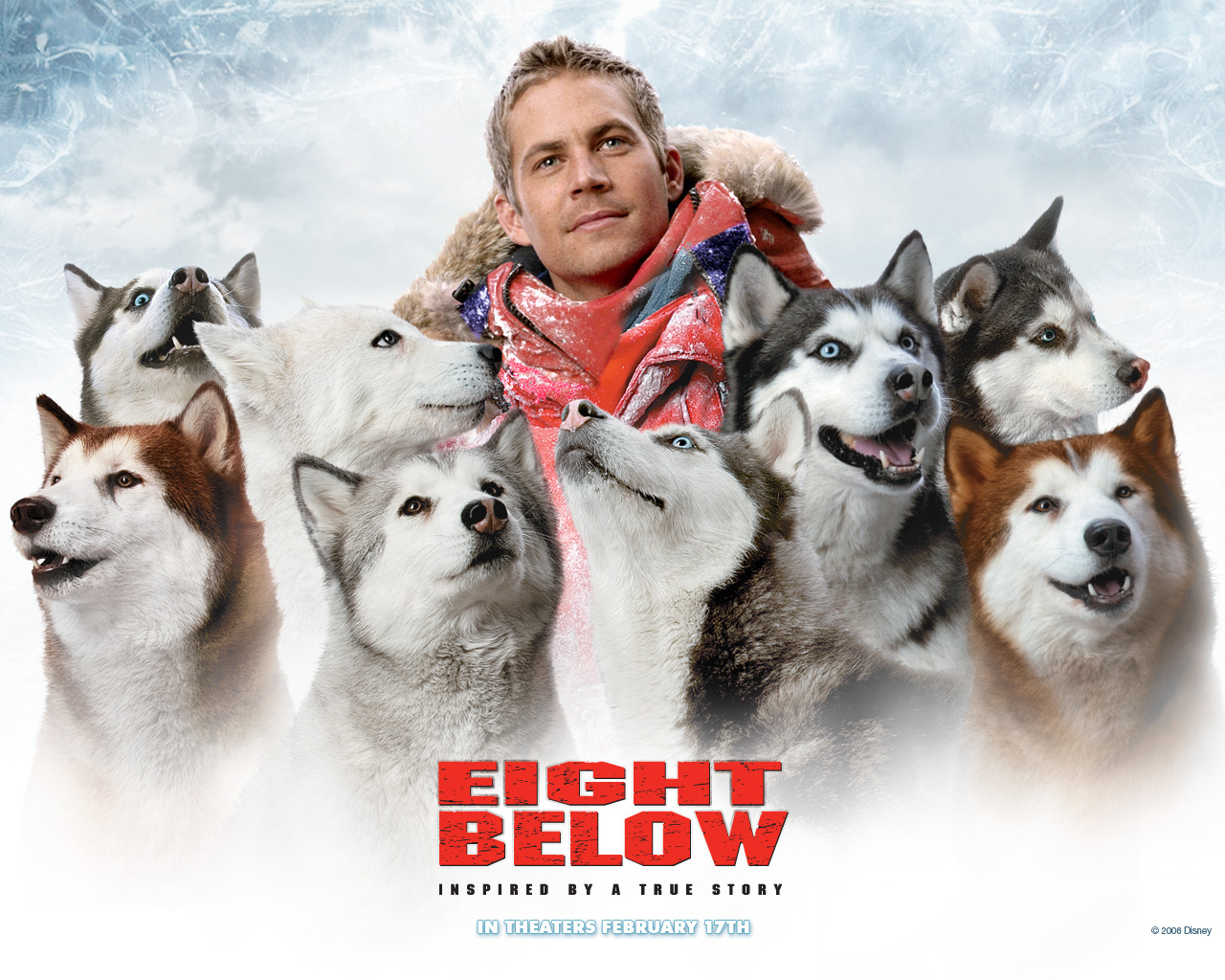 Eight Below Pics, Movie Collection