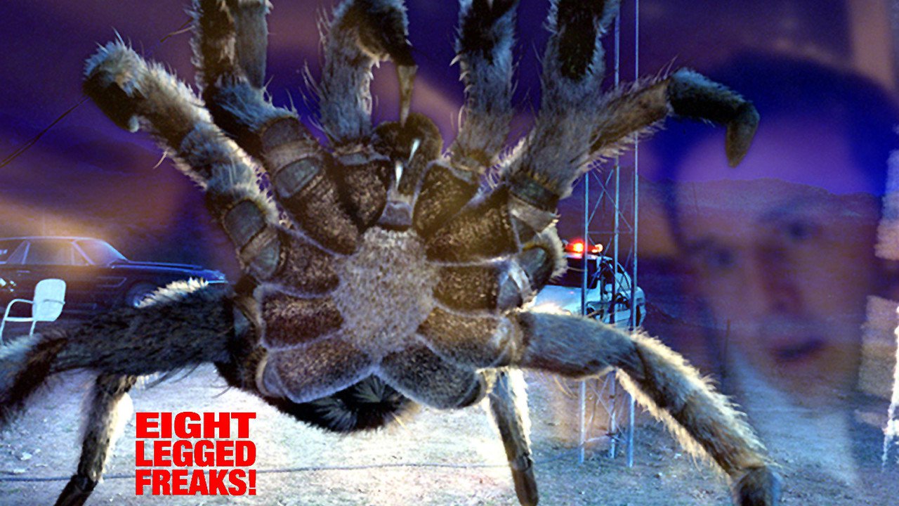 Eight Legged Freaks Backgrounds, Compatible - PC, Mobile, Gadgets| 1280x720 px