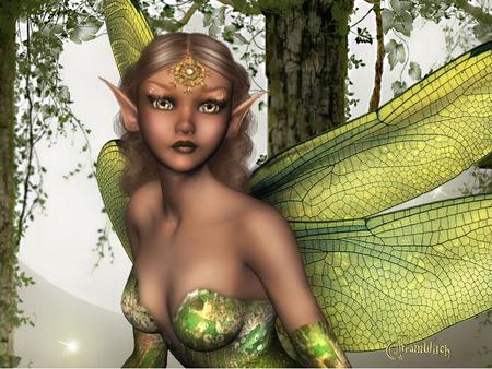 Amazing Elf Fairy Pictures & Backgrounds