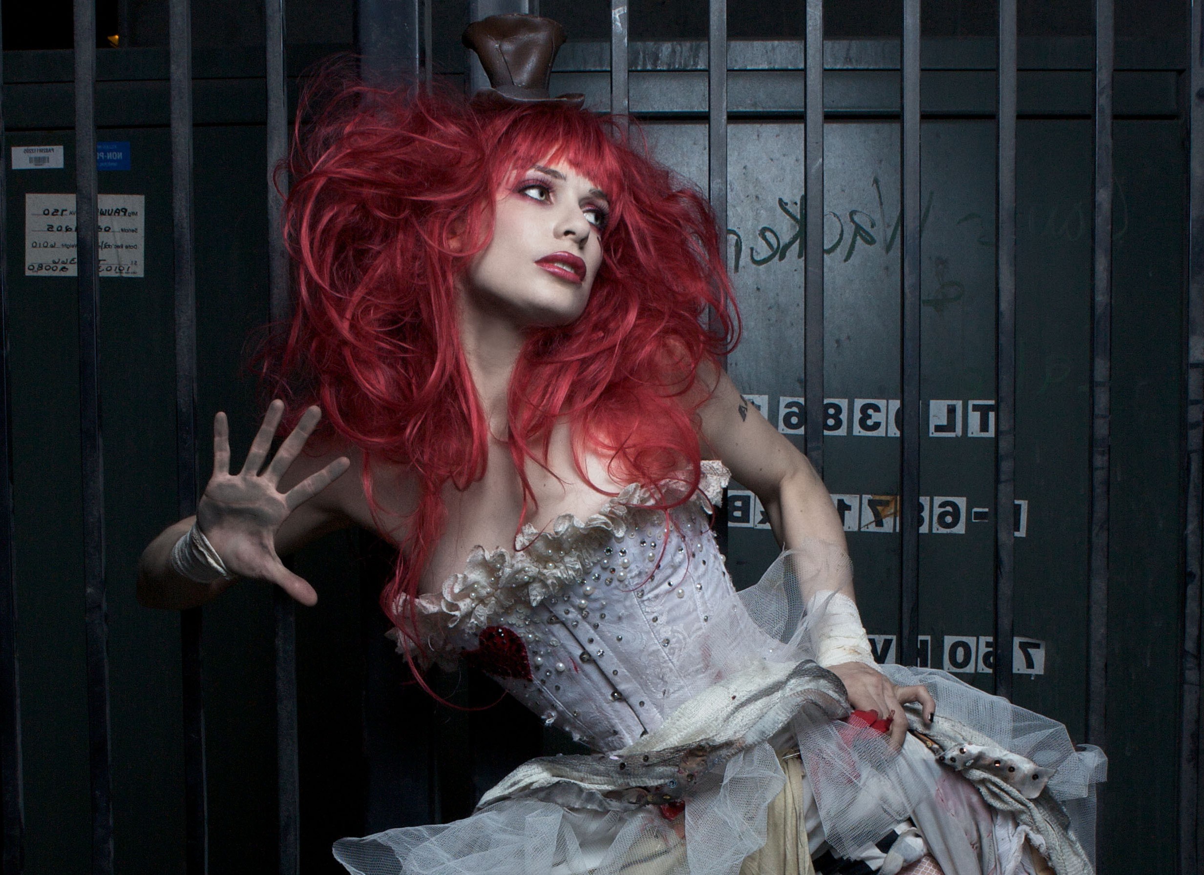 Nice wallpapers Emilie Autumn 2465x1793px
