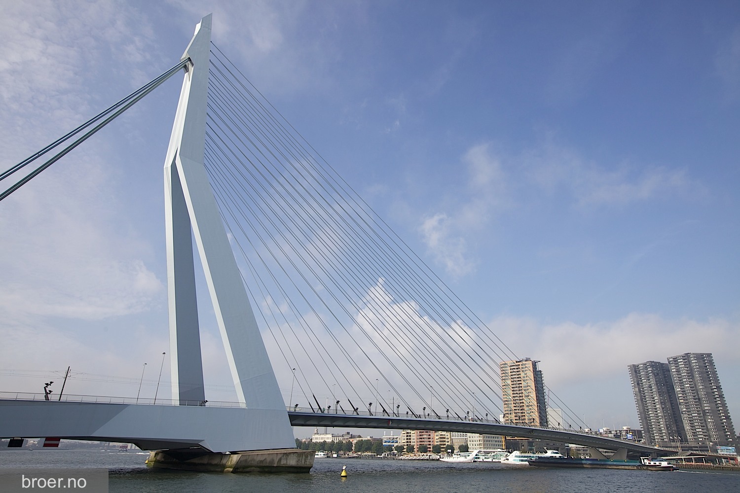 Images of Erasmus Bridge | 1500x1000