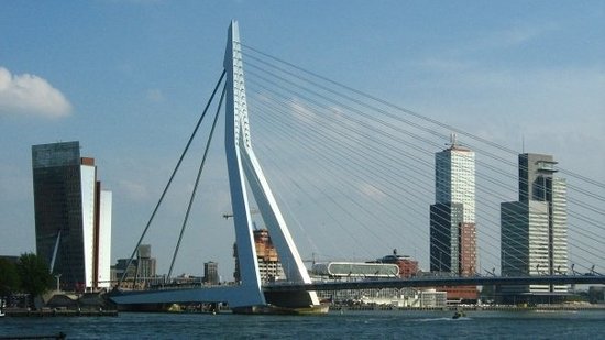 Erasmus Bridge #8