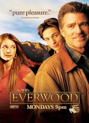 Everwood Backgrounds, Compatible - PC, Mobile, Gadgets| 290x400 px
