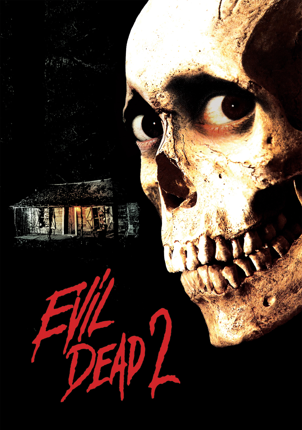 Evil Dead II Pics, Movie Collection