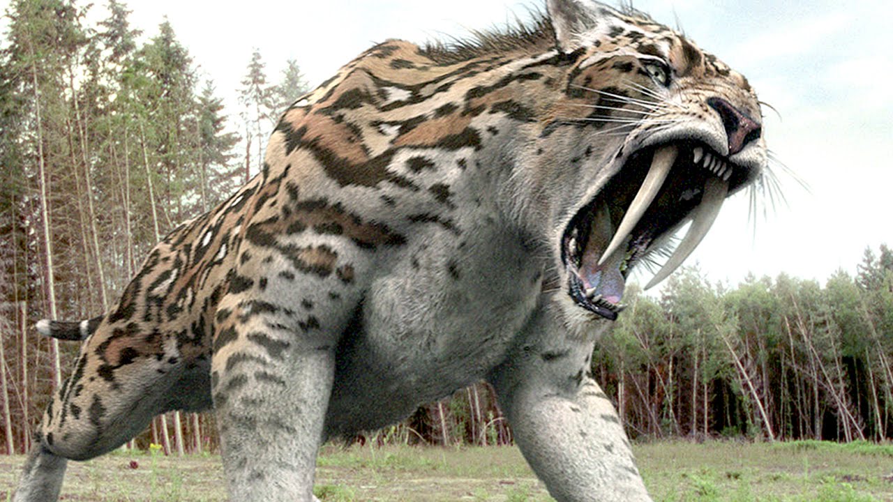 Amazing Extinct Pictures & Backgrounds