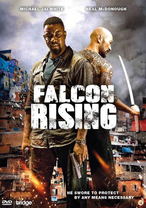 Falcon Rising #24