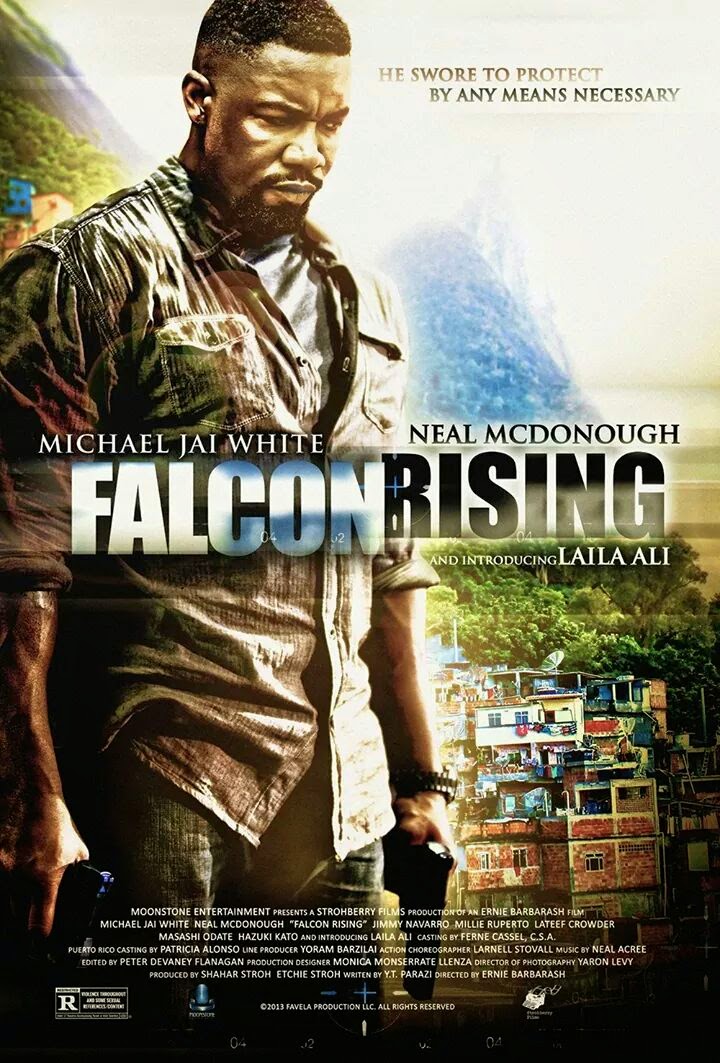 Falcon Rising #11