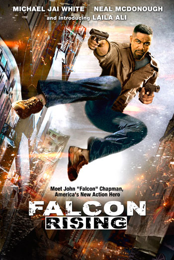 Falcon Rising #12