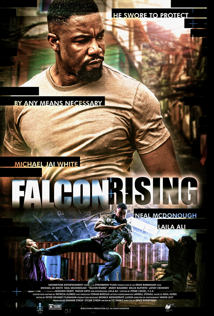 Falcon Rising #25