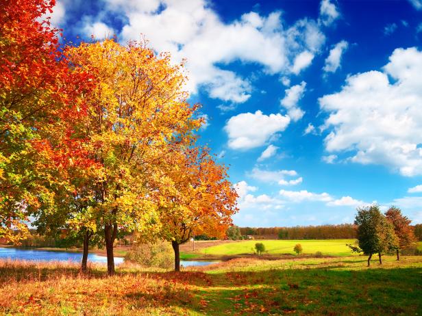 Fall Backgrounds on Wallpapers Vista